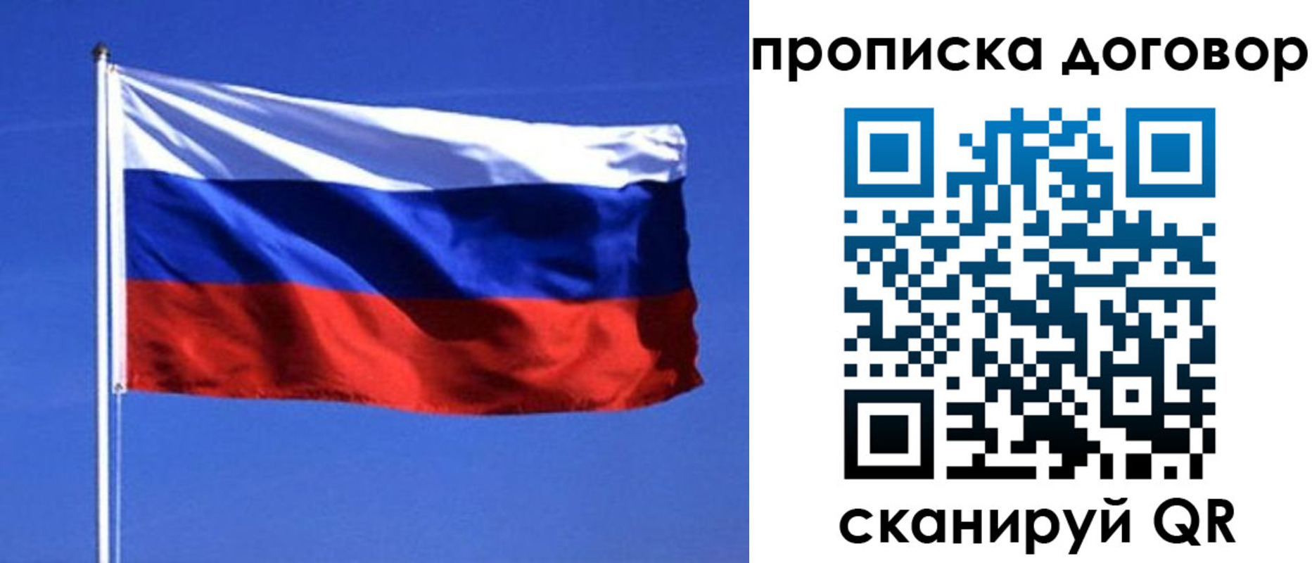 прописка поиск в Острогожске